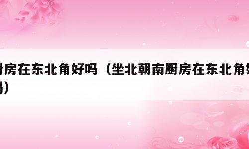 厨房在东北角好吗（坐北朝南厨房在东北角好吗）