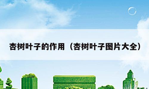 杏树叶子的作用（杏树叶子图片大全）