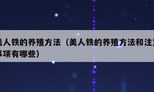 美人铁的养殖方法（美人铁的养殖方法和注意事项有哪些）