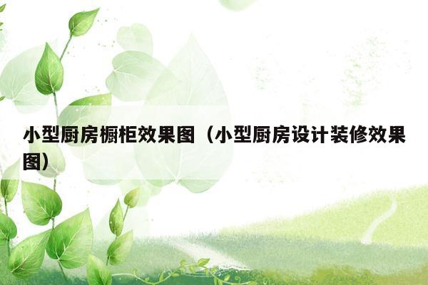 小型厨房橱柜效果图（小型厨房设计装修效果图）