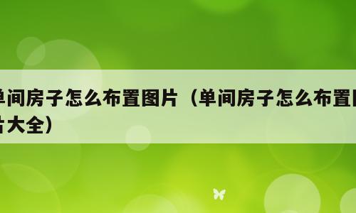 单间房子怎么布置图片（单间房子怎么布置图片大全）
