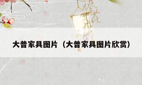 大普家具图片（大普家具图片欣赏）