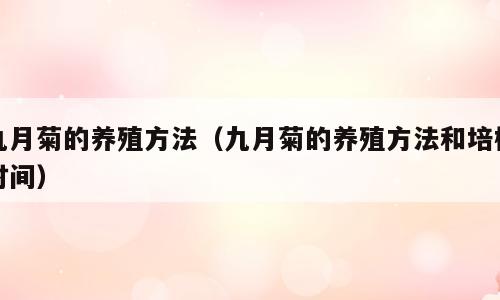 九月菊的养殖方法（九月菊的养殖方法和培植时间）