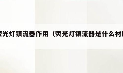 荧光灯镇流器作用（荧光灯镇流器是什么材质）