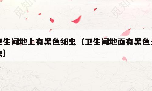 卫生间地上有黑色细虫（卫生间地面有黑色长虫）