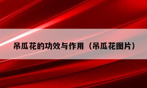吊瓜花的功效与作用（吊瓜花图片）