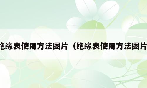 绝缘表使用方法图片（绝缘表使用方法图片）