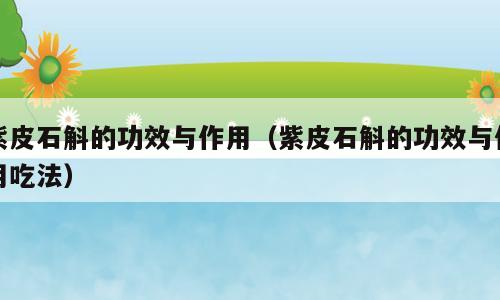 紫皮石斛的功效与作用（紫皮石斛的功效与作用吃法）