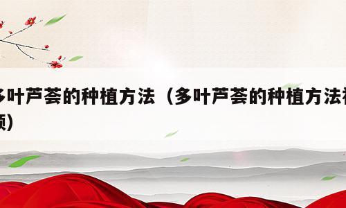 多叶芦荟的种植方法（多叶芦荟的种植方法视频）