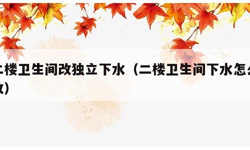 二楼卫生间改独立下水（二楼卫生间下水怎么改）