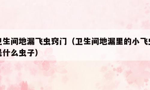 卫生间地漏飞虫窍门（卫生间地漏里的小飞虫是什么虫子）