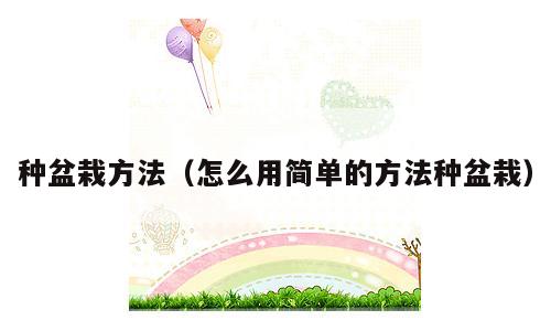 种盆栽方法（怎么用简单的方法种盆栽）