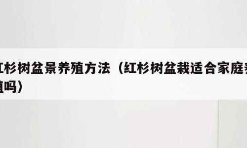 红杉树盆景养殖方法（红杉树盆栽适合家庭养殖吗）