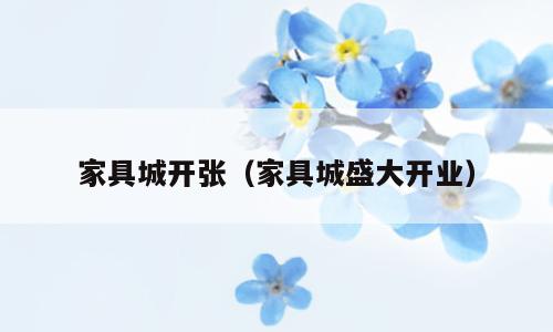 家具城开张（家具城盛大开业）