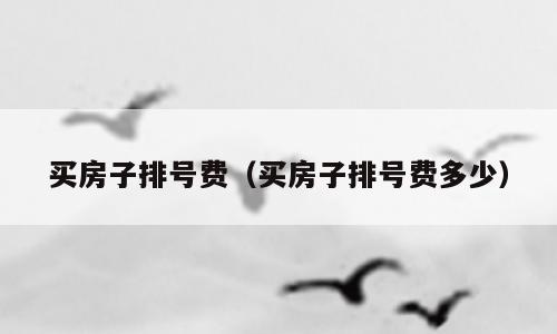 买房子排号费（买房子排号费多少）
