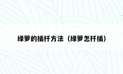 绿萝的插扦方法（绿萝怎扦插）