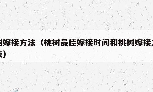 树嫁接方法（桃树最佳嫁接时间和桃树嫁接方法）