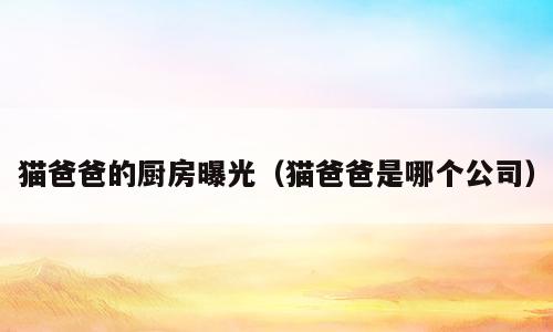 猫爸爸的厨房曝光（猫爸爸是哪个公司）