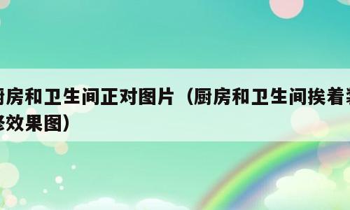 厨房和卫生间正对图片（厨房和卫生间挨着装修效果图）
