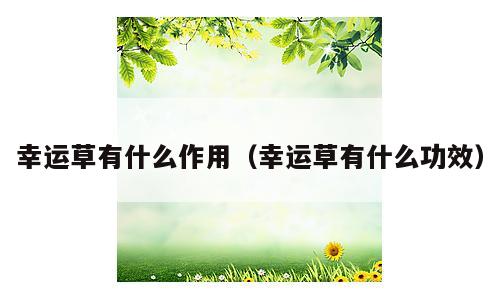 幸运草有什么作用（幸运草有什么功效）