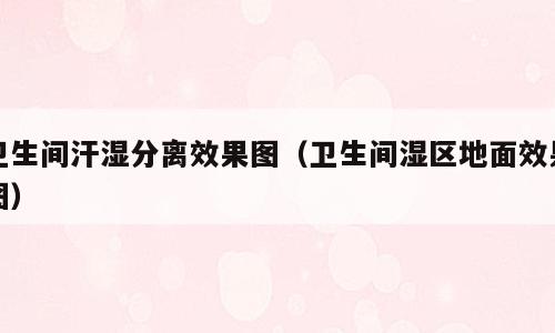 卫生间汗湿分离效果图（卫生间湿区地面效果图）
