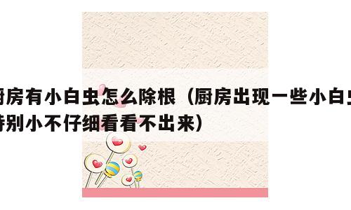 厨房有小白虫怎么除根（厨房出现一些小白虫特别小不仔细看看不出来）