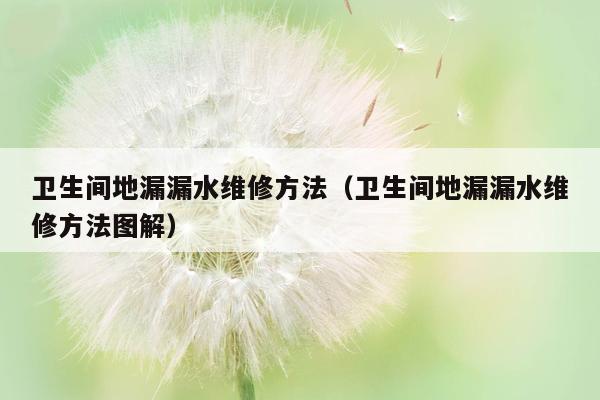 卫生间地漏漏水维修方法（卫生间地漏漏水维修方法图解）