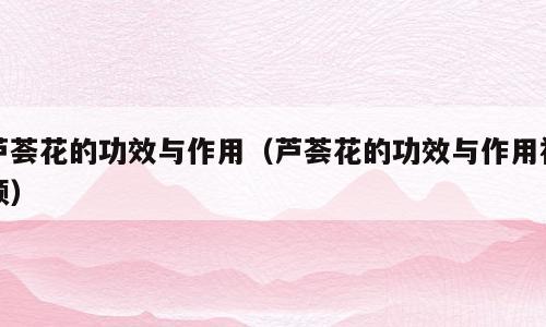 芦荟花的功效与作用（芦荟花的功效与作用视频）