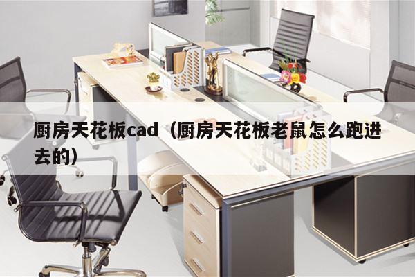 厨房天花板cad（厨房天花板老鼠怎么跑进去的）