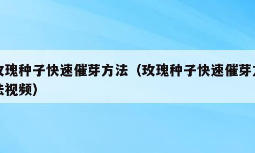 玫瑰种子快速催芽方法（玫瑰种子快速催芽方法视频）