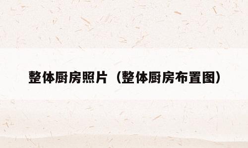 整体厨房照片（整体厨房布置图）