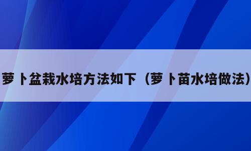 萝卜盆栽水培方法如下（萝卜苗水培做法）