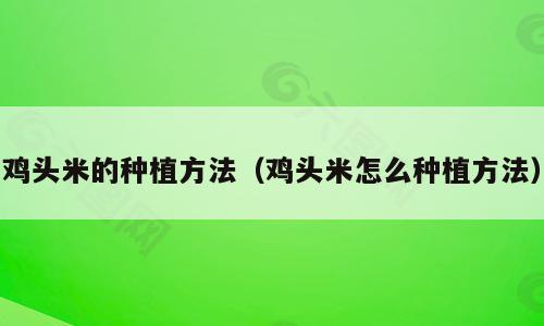 鸡头米的种植方法（鸡头米怎么种植方法）