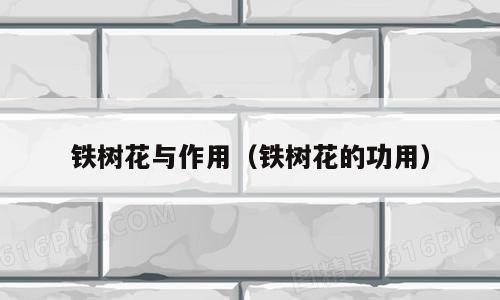 铁树花与作用（铁树花的功用）