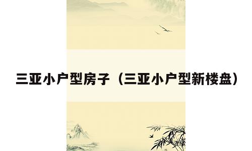 三亚小户型房子（三亚小户型新楼盘）