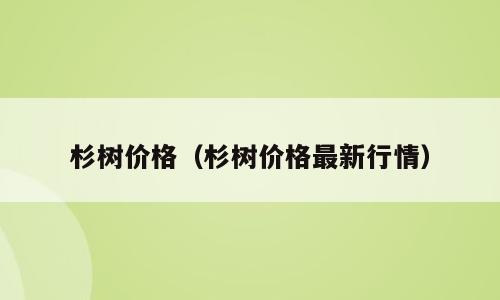 杉树价格（杉树价格最新行情）