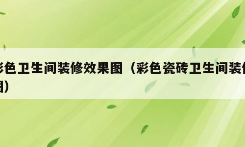 彩色卫生间装修效果图（彩色瓷砖卫生间装修图）