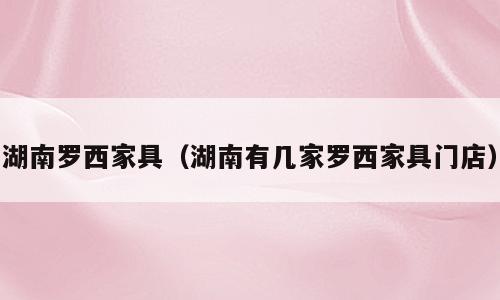 湖南罗西家具（湖南有几家罗西家具门店）