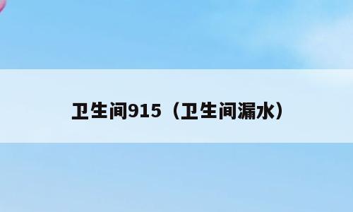 卫生间915（卫生间漏水）
