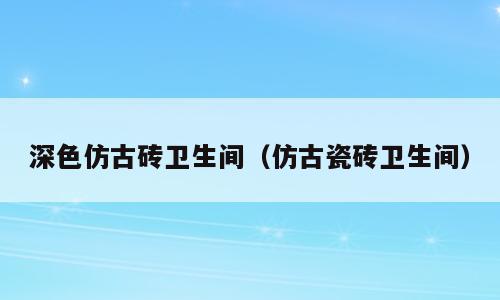 深色仿古砖卫生间（仿古瓷砖卫生间）