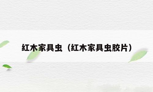 红木家具虫（红木家具虫胶片）