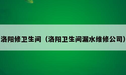 洛阳修卫生间（洛阳卫生间漏水维修公司）