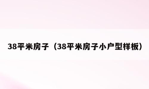 38平米房子（38平米房子小户型样板）