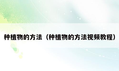 种植物的方法（种植物的方法视频教程）