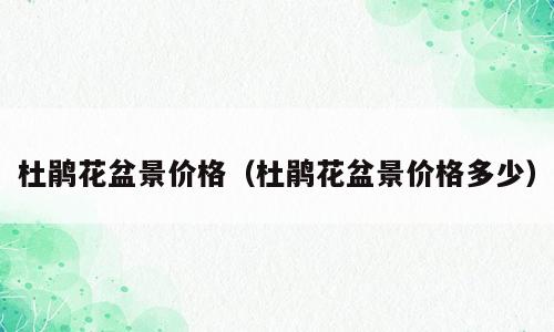 杜鹃花盆景价格（杜鹃花盆景价格多少）