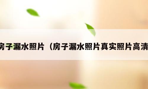 房子漏水照片（房子漏水照片真实照片高清）