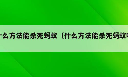 什么方法能杀死蚂蚁（什么方法能杀死蚂蚁呢）