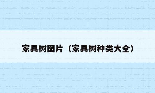 家具树图片（家具树种类大全）