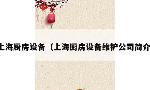 上海厨房设备（上海厨房设备维护公司简介）