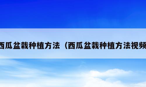西瓜盆栽种植方法（西瓜盆栽种植方法视频）